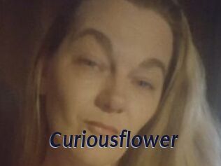 Curiousflower