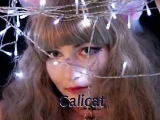 Calicat