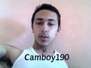 Camboy190