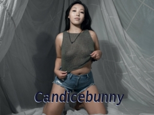Candicebunny