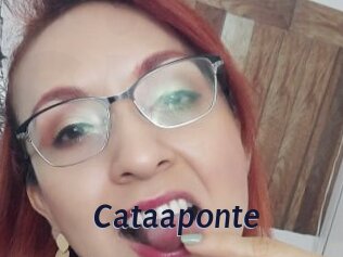 Cataaponte