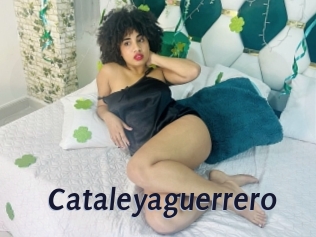 Cataleyaguerrero