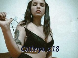 Catleya_x18