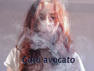 Cato_avocato