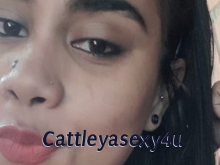 Cattleyasexy4u