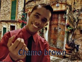 Chamo_brown