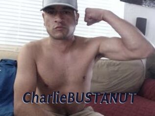 CharlieBUSTANUT