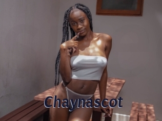 Chaynascot