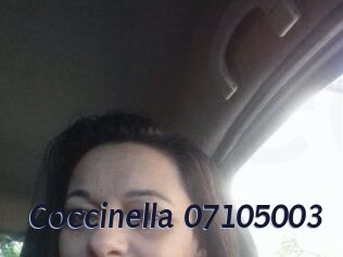 Coccinella-07105003