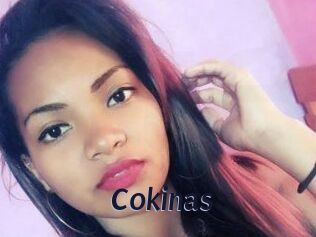 Cokinas