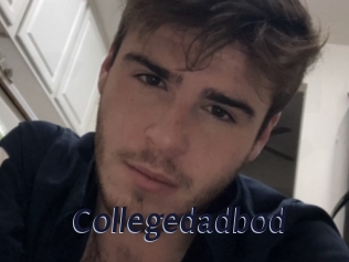 Collegedadbod