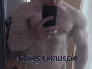 Collegexmuscle