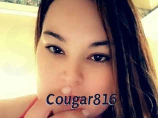 Cougar816