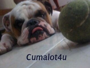 Cumalot4u