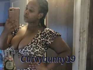 Curvybunny19