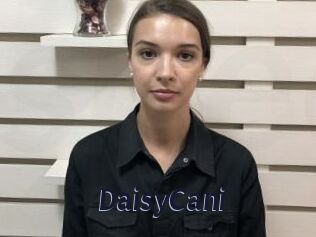 DaisyCani