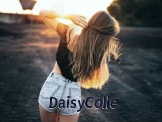 DaisyColle