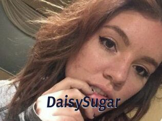 Daisy_Sugar