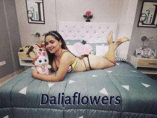 Daliaflowers