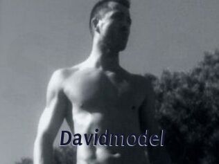 Davidmodel