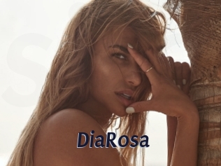 DiaRosa