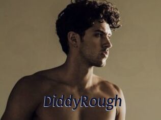 DiddyRough