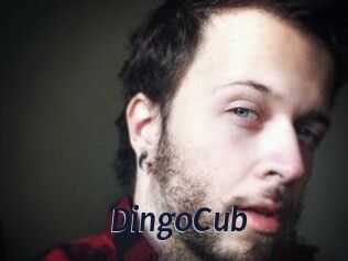 DingoCub