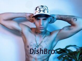 DishBro