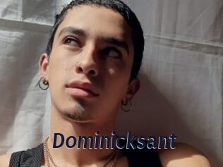 Dominicksant