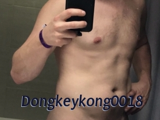 Dongkeykong0018