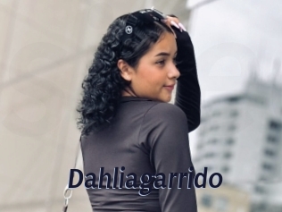 Dahliagarrido