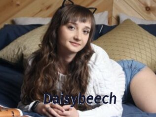 Daisybeech