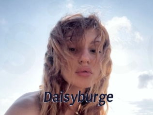 Daisyburge