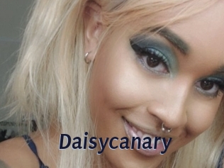 Daisycanary