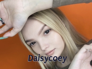 Daisycoey