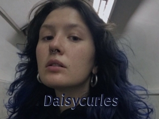 Daisycurles