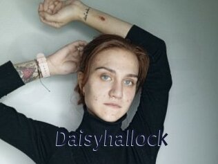 Daisyhallock