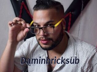 Daminbricksub