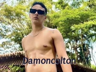 Damoncolton