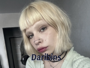 Daribins