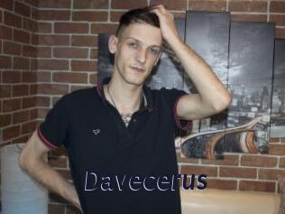 Davecerus