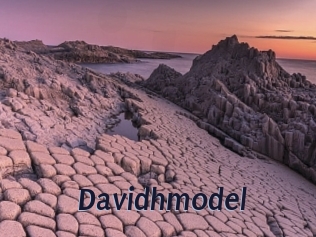 Davidhmodel