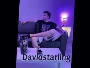 Davidstarling