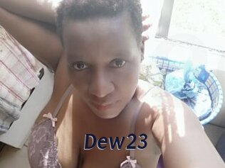 Dew23