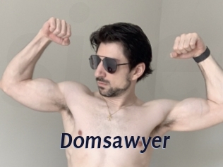 Domsawyer