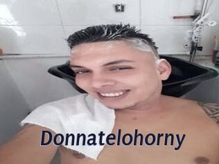 Donnatelohorny