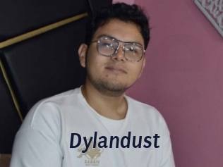 Dylandust