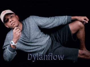 Dylanflow