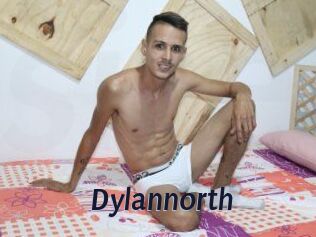 Dylan_north