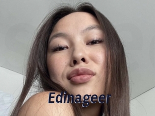 Edinageer